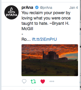 bryant-mcgill_!_prana_2017-07-21_16.17.23.png