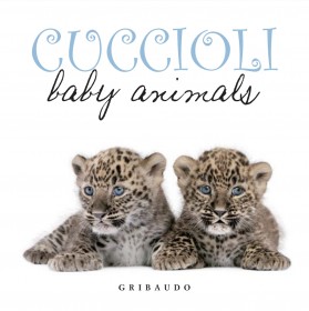 bryant-mcgill_publication-book-cuccioli.jpg