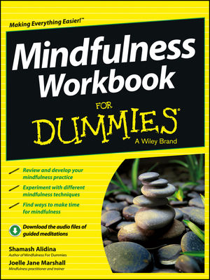 bryant-mcgill_publication-book-mindfulness.jpg